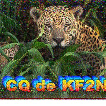 SSTV image received 2026-02-11 16:10