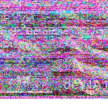 SSTV image received 2026-02-12 09:34