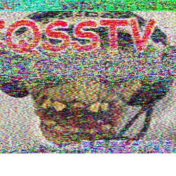 SSTV image received 2026-02-12 12:43
