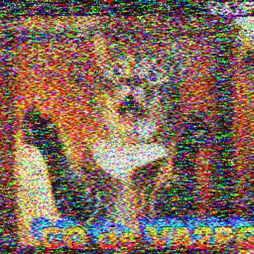 SSTV image received 2026-02-12 17:35