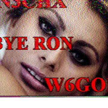 SSTV image received 2026-02-13 15:12