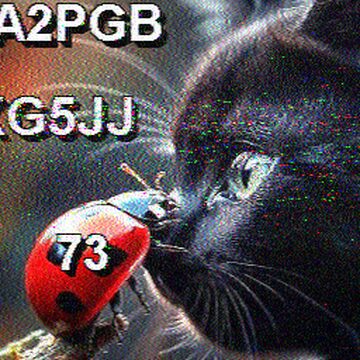 SSTV image received 2026-02-13 15:55