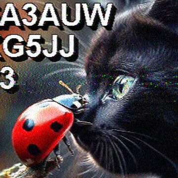 SSTV image received 2026-02-13 16:48