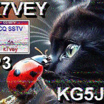 SSTV image received 2026-02-14 13:07