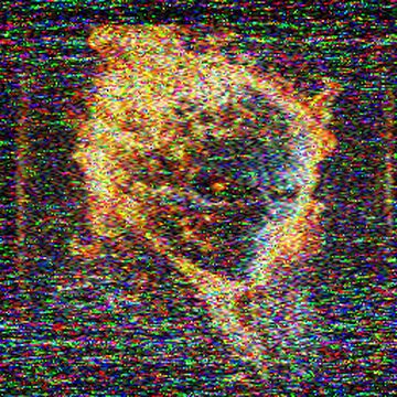 SSTV image received 2026-02-14 17:36