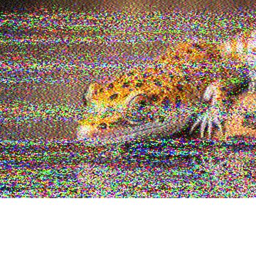 SSTV image received 2026-02-15 10:23