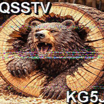 SSTV image received 2026-02-15 11:01