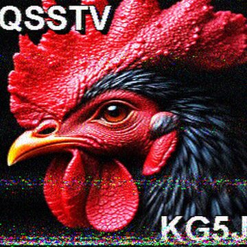 SSTV image received 2026-02-15 11:30