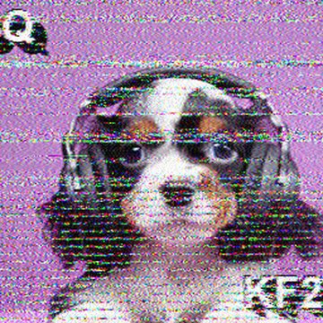 SSTV image received 2026-02-16 16:27