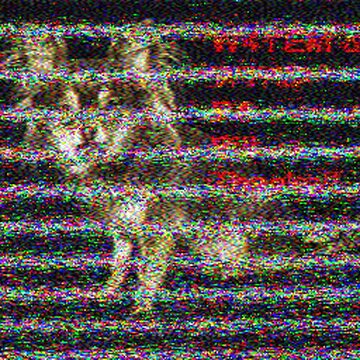 SSTV image received 2026-02-16 20:00
