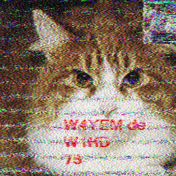 SSTV image received 2026-02-16 20:04