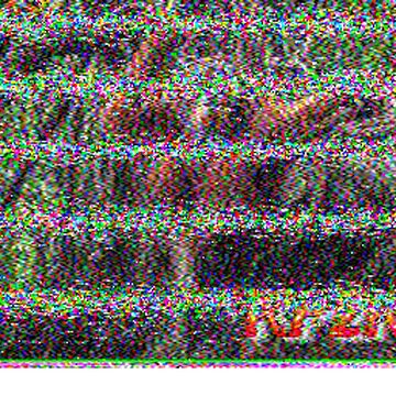 SSTV image received 2026-02-17 13:04