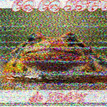 SSTV image received 2026-02-17 19:18