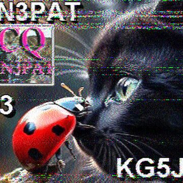 SSTV image received 2026-02-18 14:49