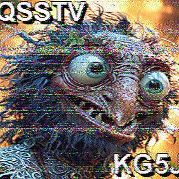 SSTV image received 2026-02-18 16:31