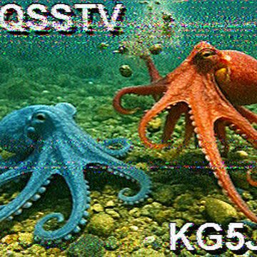 SSTV image received 2026-02-19 11:31