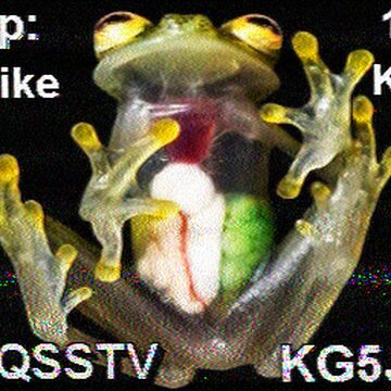 SSTV image received 2026-02-19 11:38
