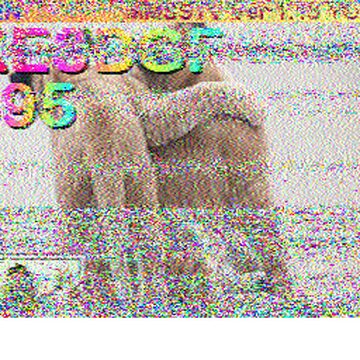 SSTV image received 2026-02-19 11:54