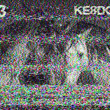 SSTV image received 2026-02-19 11:56