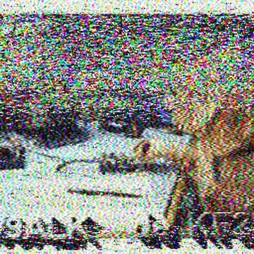 SSTV image received 2026-02-19 12:26