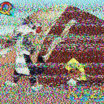 SSTV image received 2026-02-19 12:31