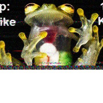 SSTV image received 2026-02-19 14:04