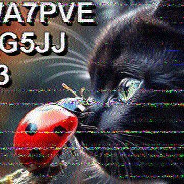 SSTV image received 2026-02-19 14:17