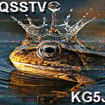 SSTV image received 2026-02-19 14:28