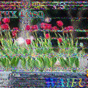 SSTV image received 2026-02-19 16:30
