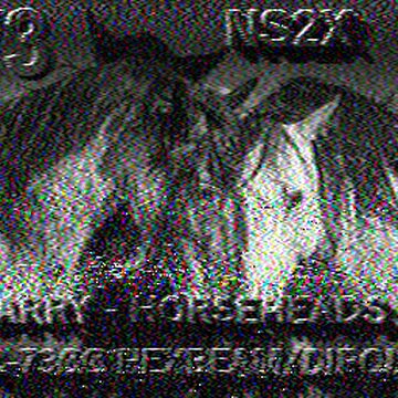 SSTV image received 2026-02-19 17:04