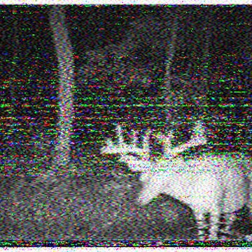 SSTV image received 2026-02-20 10:40