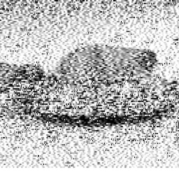 SSTV image received 2026-02-20 12:35