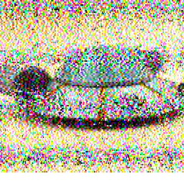 SSTV image received 2026-02-20 12:36