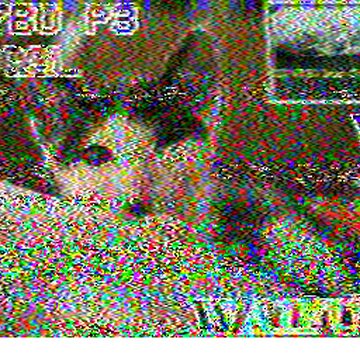 SSTV image received 2026-02-20 14:04