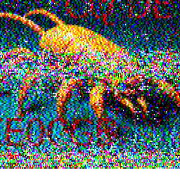 SSTV image received 2026-02-20 14:58