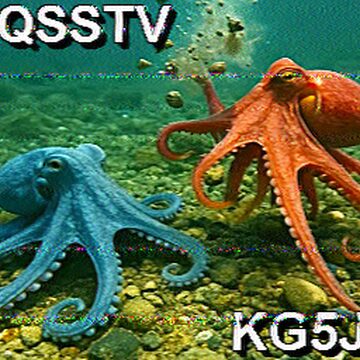 SSTV image received 2026-02-20 16:28