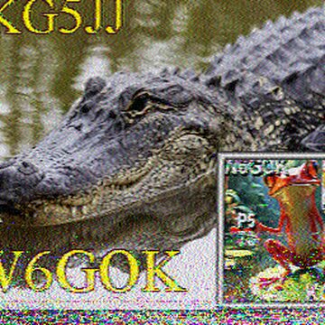 SSTV image received 2026-02-20 17:43