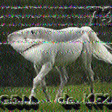 SSTV image received 2026-02-20 17:51