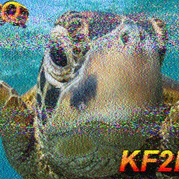 SSTV image received 2026-02-20 18:02