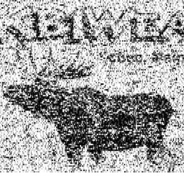 SSTV image received 2026-02-20 18:33