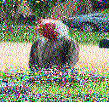 SSTV image received 2026-02-21 12:41