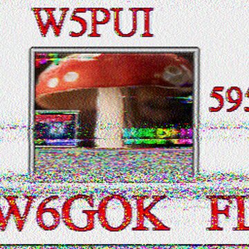 SSTV image received 2026-02-21 13:07