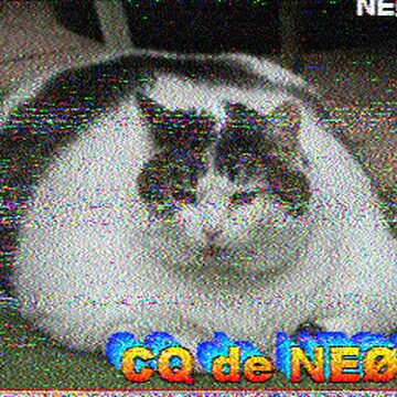 SSTV image received 2026-02-21 13:53