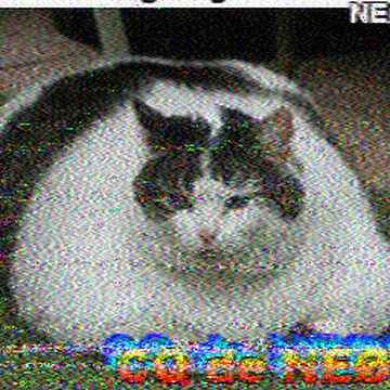 SSTV image received 2026-02-21 13:58