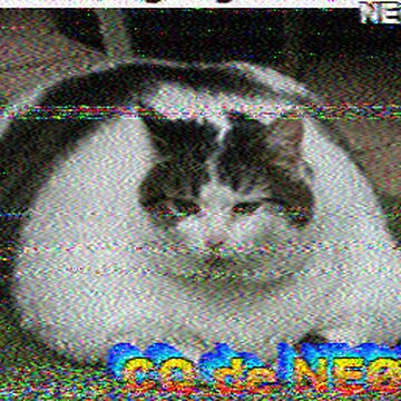 SSTV image received 2026-02-21 13:59