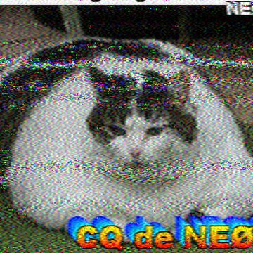 SSTV image received 2026-02-21 14:02