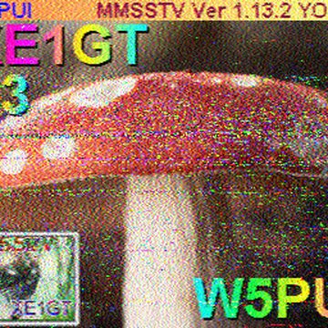 SSTV image received 2026-02-21 16:42