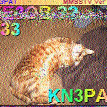 SSTV image received 2026-02-21 17:31