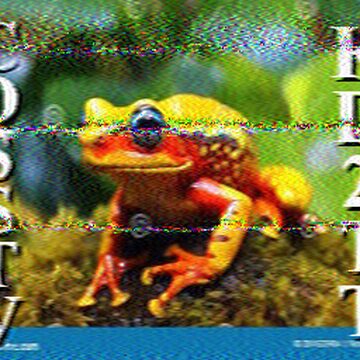 SSTV image received 2026-02-21 20:27