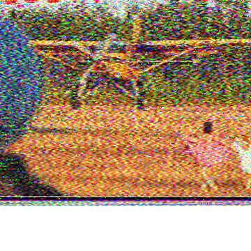 SSTV image received 2026-02-22 15:50